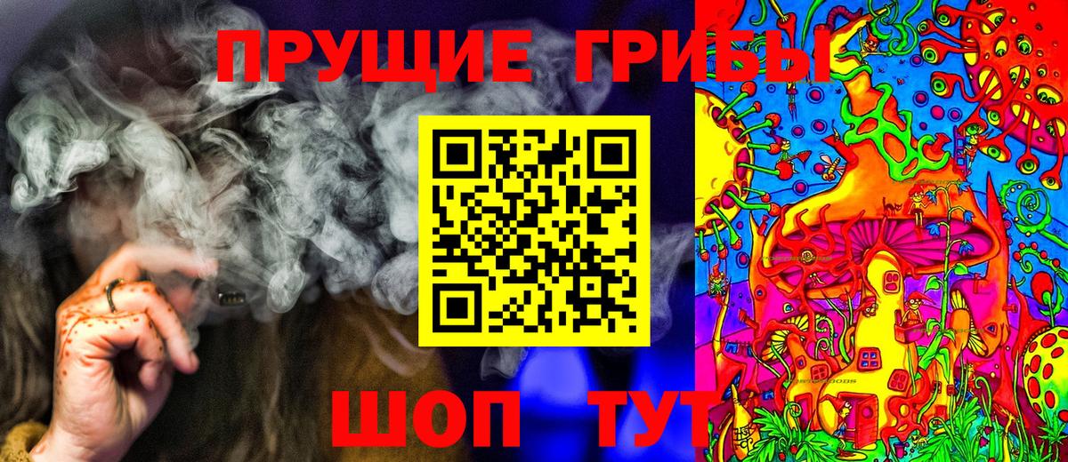 Галлюциногенные грибы Psilocybe  Вход с VPN  Белгород 