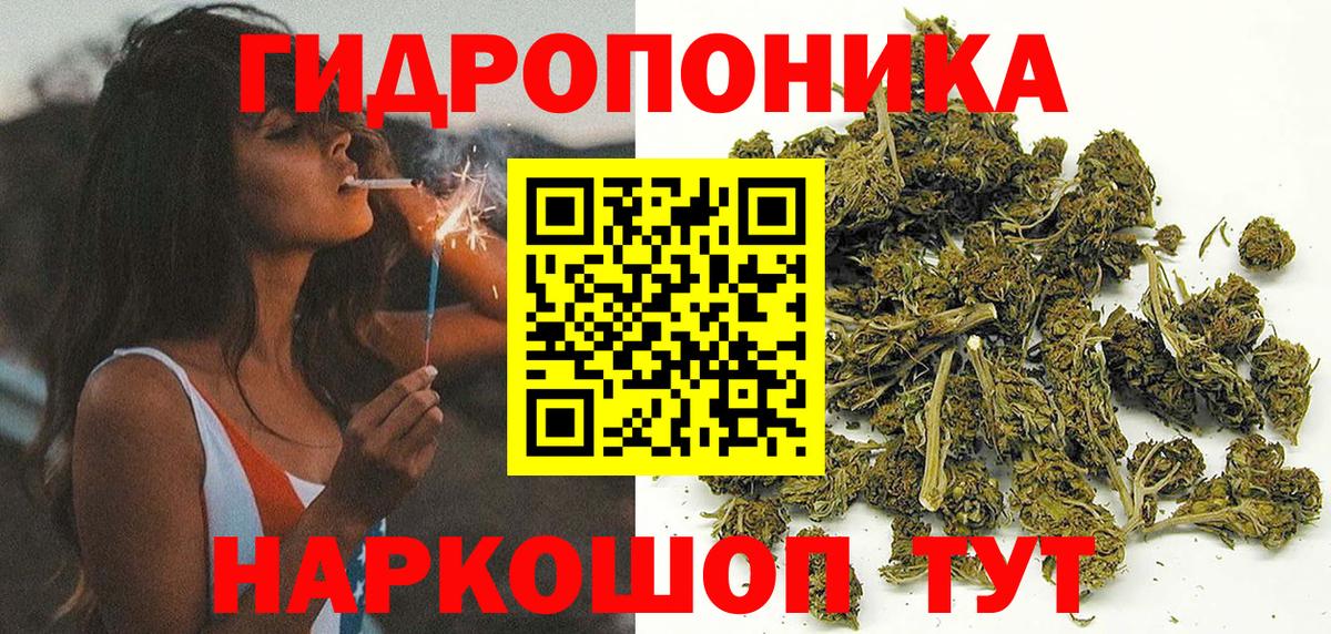 Бошки марихуана White Widow  Каннабис конопля  Вход с VPN  Конопля OG Kush  Белгород 